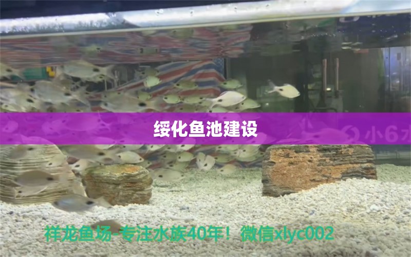 綏化魚池建設(shè) 錦鯉池魚池建設(shè)