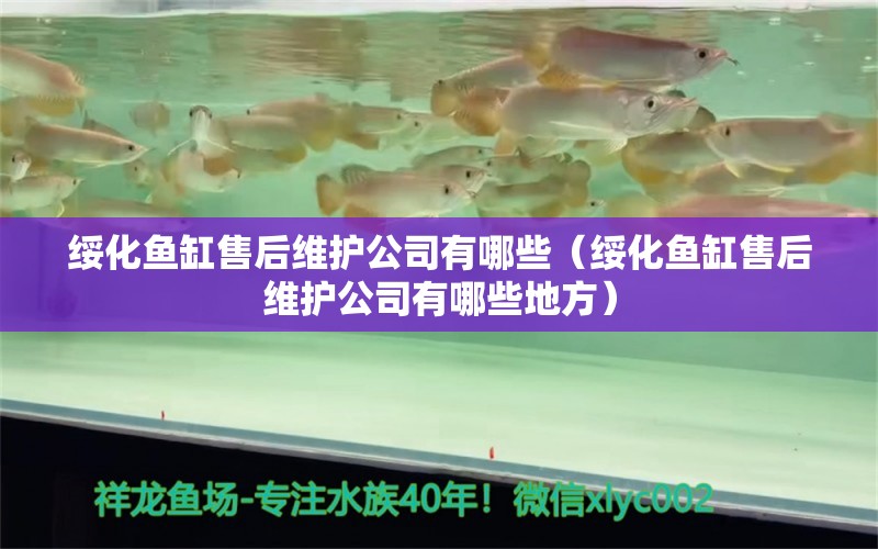 綏化魚缸售后維護(hù)公司有哪些（綏化魚缸售后維護(hù)公司有哪些地方）