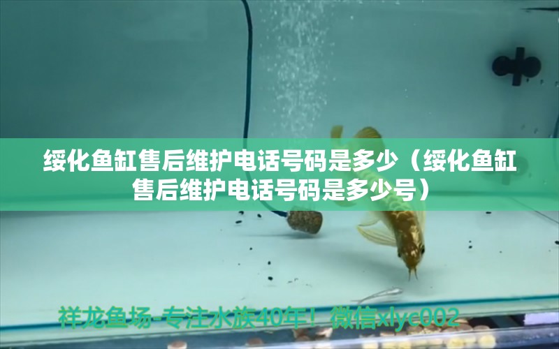 綏化魚缸售后維護(hù)電話號碼是多少（綏化魚缸售后維護(hù)電話號碼是多少號） 其他品牌魚缸