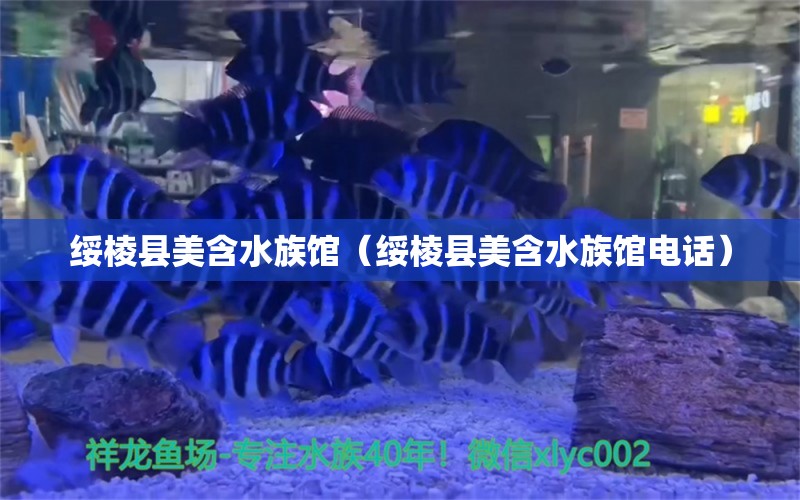 綏棱縣美含水族館（綏棱縣美含水族館電話）