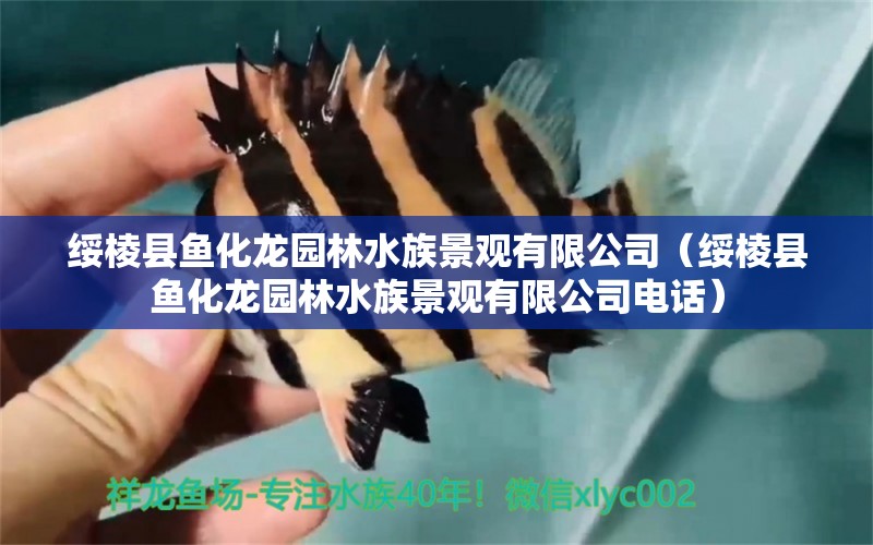 綏棱縣魚化龍園林水族景觀有限公司（綏棱縣魚化龍園林水族景觀有限公司電話）