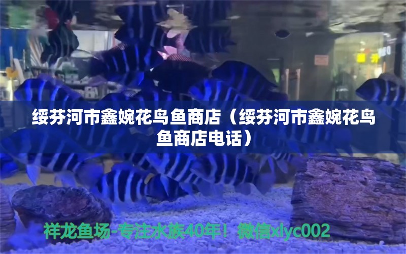 綏芬河市鑫婉花鳥魚商店（綏芬河市鑫婉花鳥魚商店電話）