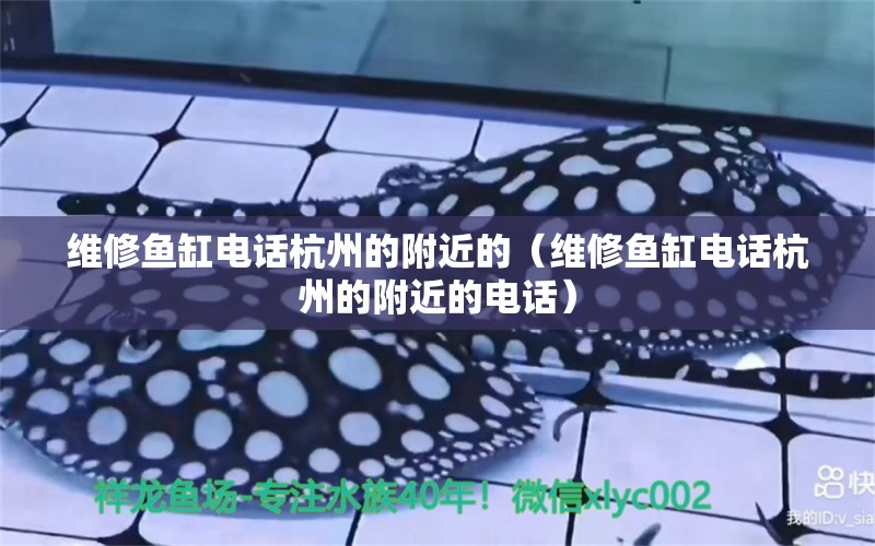 維修魚缸電話杭州的附近的（維修魚缸電話杭州的附近的電話）