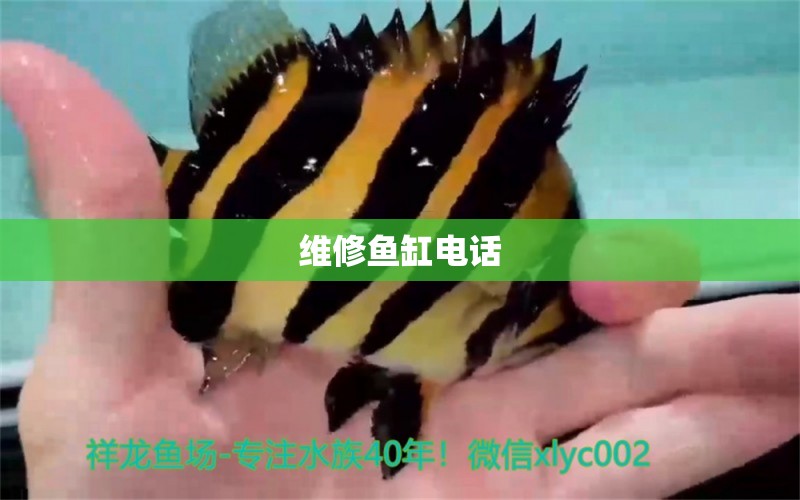 維修魚缸電話 其他品牌魚缸