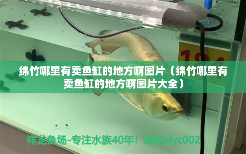 綿竹哪里有賣魚缸的地方啊圖片（綿竹哪里有賣魚缸的地方啊圖片大全） 觀賞魚水族批發(fā)市場