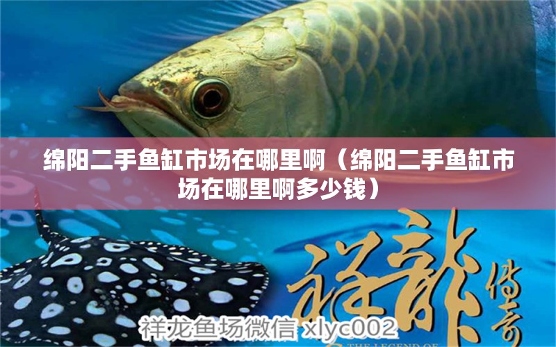 綿陽(yáng)二手魚缸市場(chǎng)在哪里?。ňd陽(yáng)二手魚缸市場(chǎng)在哪里啊多少錢） 量子養(yǎng)魚技術(shù)