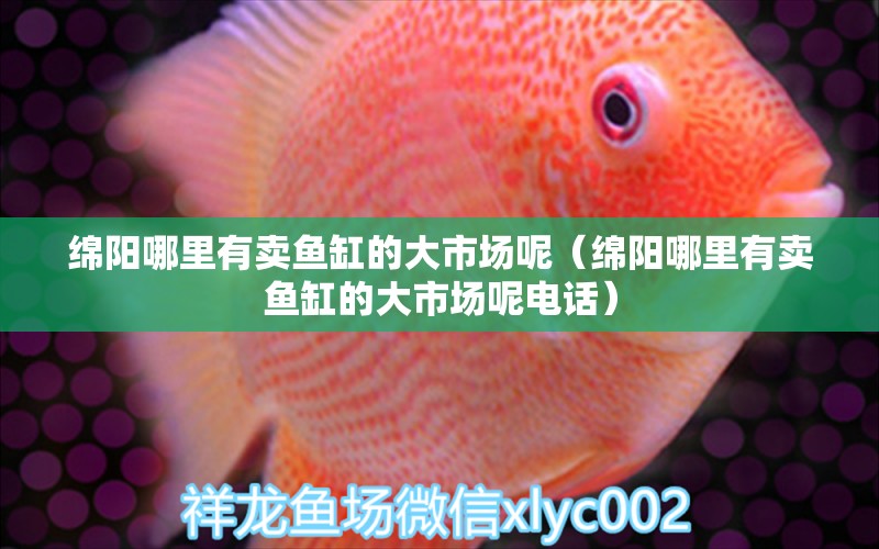 綿陽哪里有賣魚缸的大市場呢（綿陽哪里有賣魚缸的大市場呢電話） 其他品牌魚缸