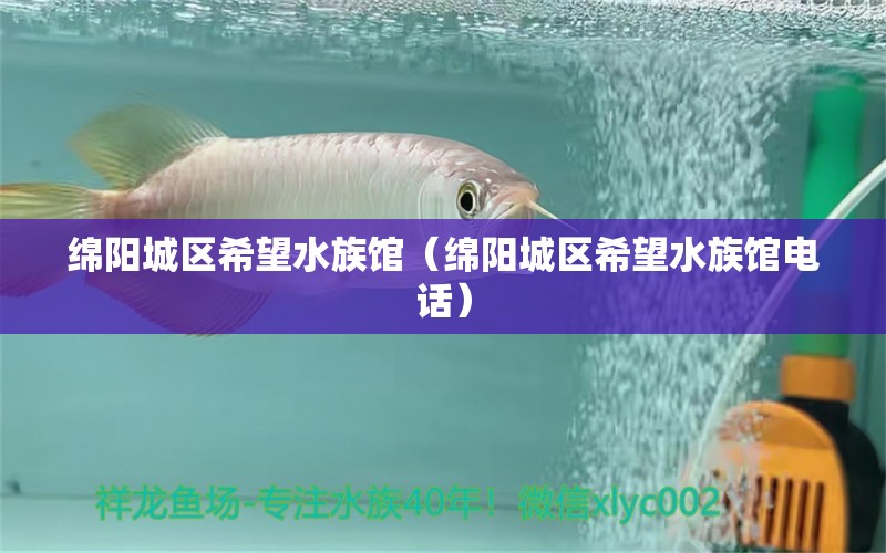 綿陽(yáng)城區(qū)希望水族館（綿陽(yáng)城區(qū)希望水族館電話）