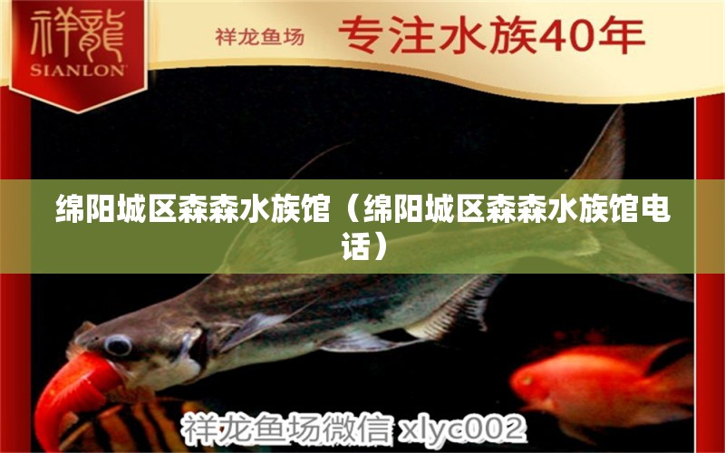 綿陽(yáng)城區(qū)森森水族館（綿陽(yáng)城區(qū)森森水族館電話）