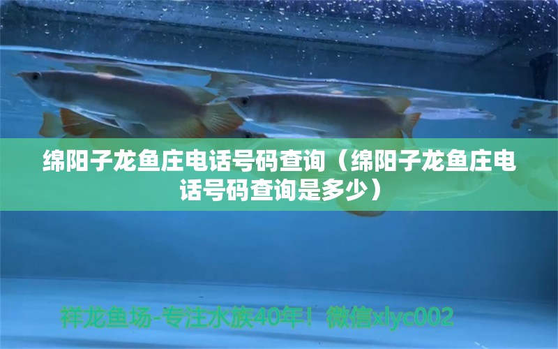 綿陽(yáng)子龍魚(yú)莊電話(huà)號(hào)碼查詢(xún)（綿陽(yáng)子龍魚(yú)莊電話(huà)號(hào)碼查詢(xún)是多少）