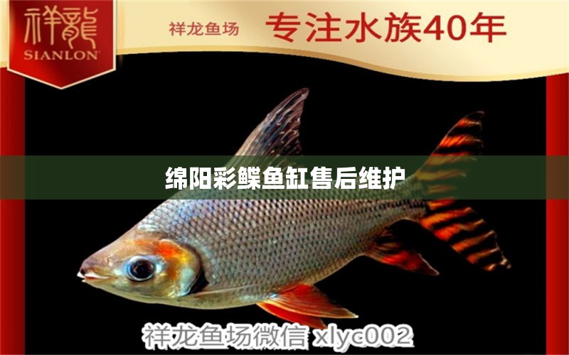 綿陽彩鰈魚缸售后維護