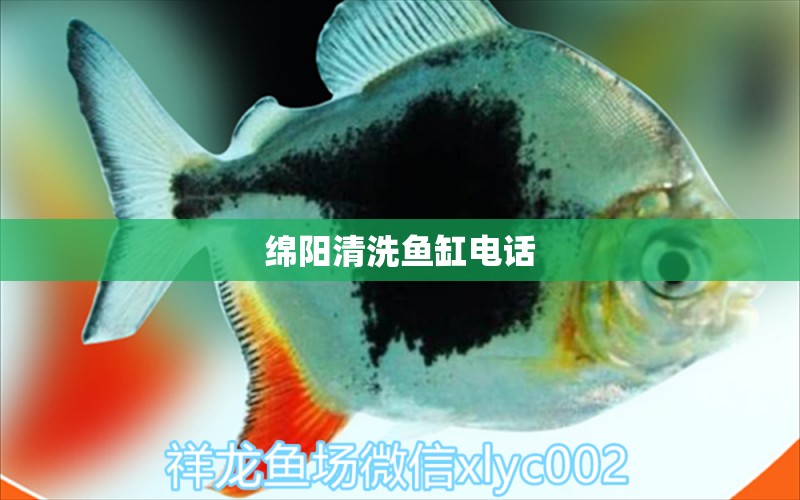 綿陽(yáng)清洗魚(yú)缸電話