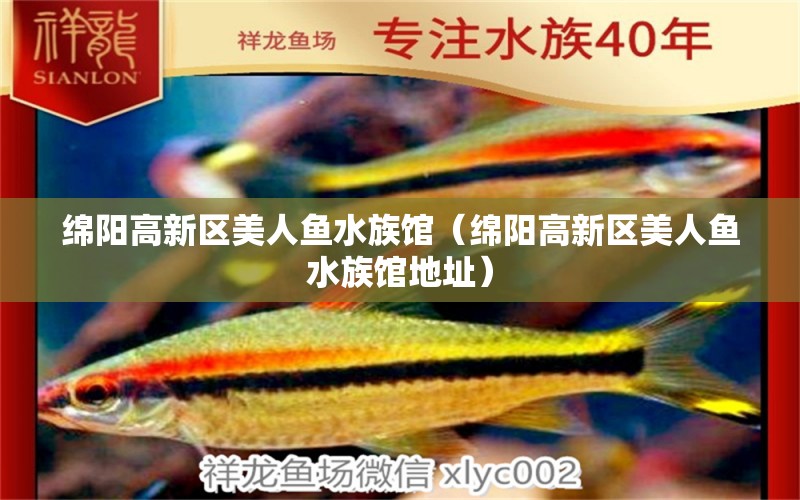 綿陽高新區(qū)美人魚水族館（綿陽高新區(qū)美人魚水族館地址）