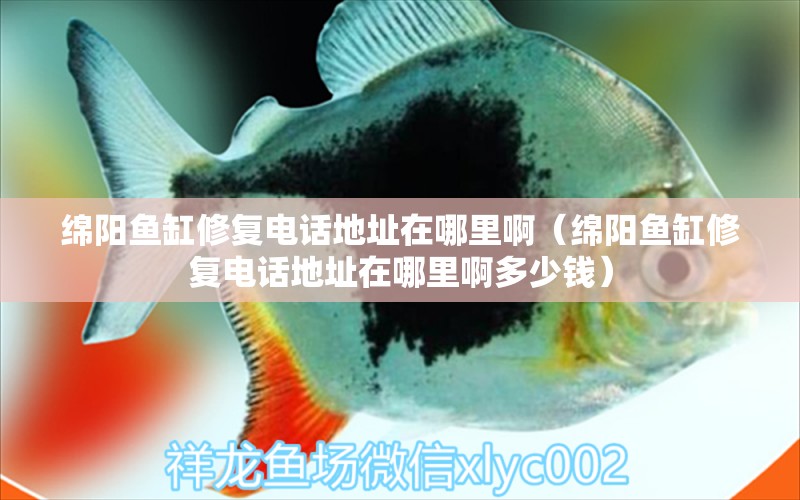 綿陽(yáng)魚缸修復(fù)電話地址在哪里?。ňd陽(yáng)魚缸修復(fù)電話地址在哪里啊多少錢） 胭脂孔雀龍魚