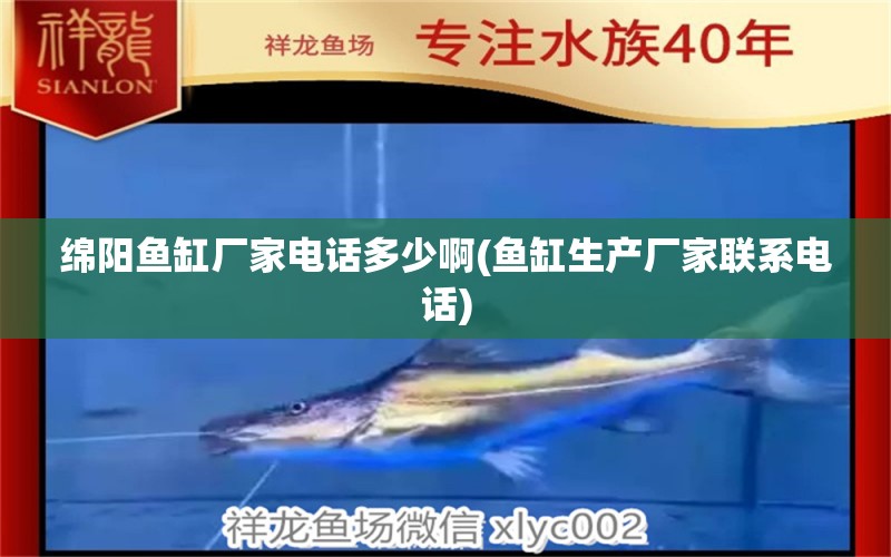 綿陽魚缸廠家電話多少啊(魚缸生產(chǎn)廠家聯(lián)系電話) 水族雜談