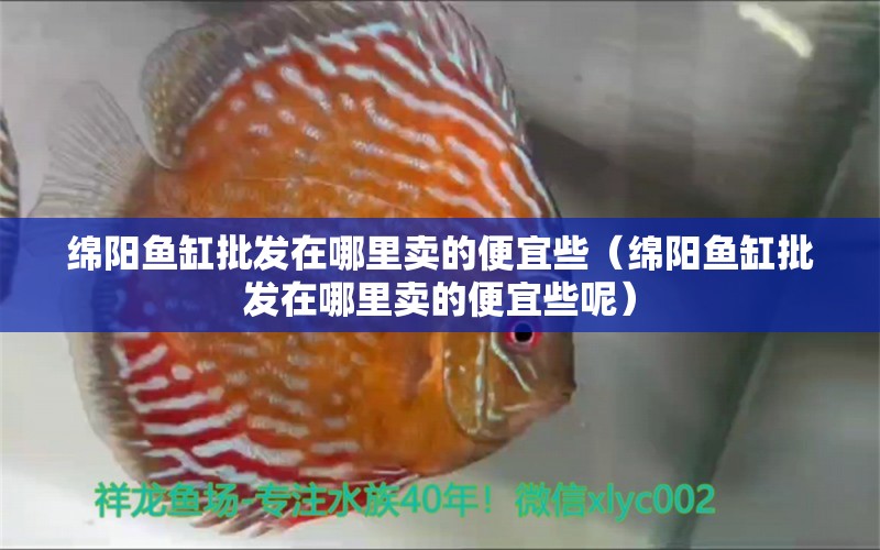 綿陽魚缸批發(fā)在哪里賣的便宜些（綿陽魚缸批發(fā)在哪里賣的便宜些呢）