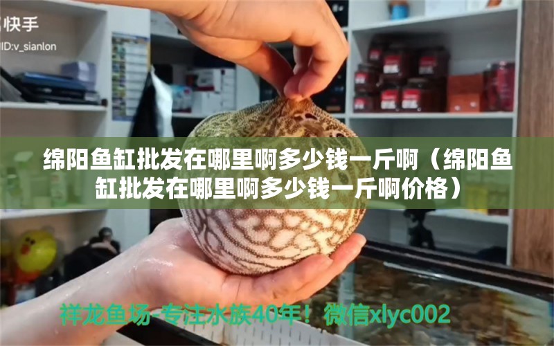 綿陽魚缸批發(fā)在哪里啊多少錢一斤?。ňd陽魚缸批發(fā)在哪里啊多少錢一斤啊價(jià)格） 祥龍水族醫(yī)院