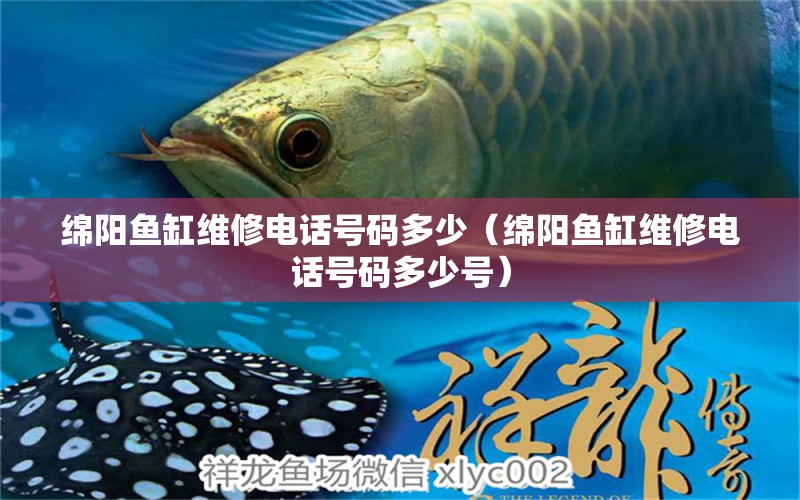 綿陽(yáng)魚(yú)缸維修電話號(hào)碼多少（綿陽(yáng)魚(yú)缸維修電話號(hào)碼多少號(hào)）