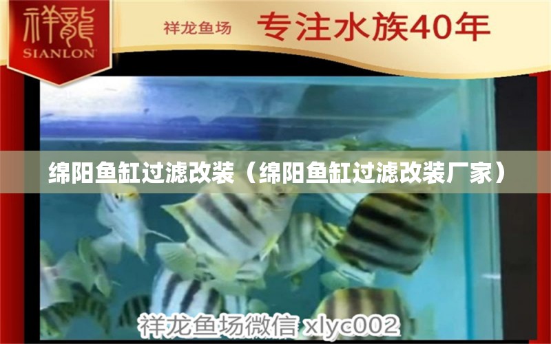 綿陽魚缸過濾改裝（綿陽魚缸過濾改裝廠家） 祥龍水族醫(yī)院