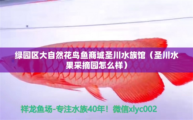 綠園區(qū)大自然花鳥魚商城圣川水族館（圣川水果采摘園怎么樣）