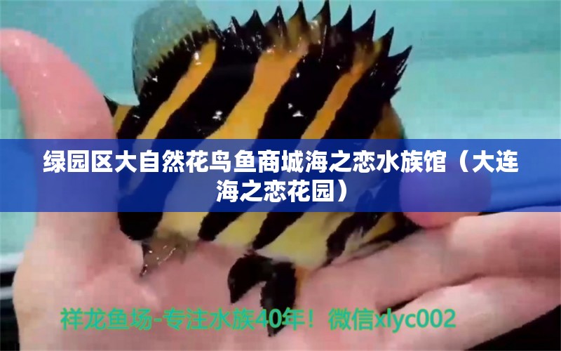 綠園區(qū)大自然花鳥魚商城海之戀水族館（大連海之戀花園）