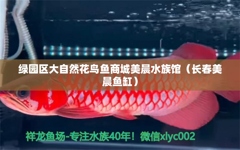 綠園區(qū)大自然花鳥魚商城美晨水族館（長春美晨魚缸）