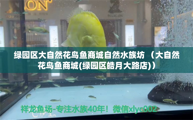 綠園區(qū)大自然花鳥魚商城自然水族坊 （大自然花鳥魚商城(綠園區(qū)皓月大路店)） 全國水族館企業(yè)名錄 第1張