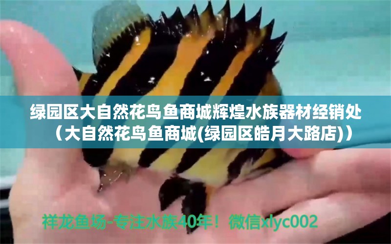 綠園區(qū)大自然花鳥魚商城輝煌水族器材經(jīng)銷處（大自然花鳥魚商城(綠園區(qū)皓月大路店)）