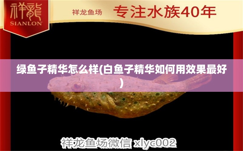 綠魚子精華怎么樣(白魚子精華如何用效果最好) 銀古魚苗