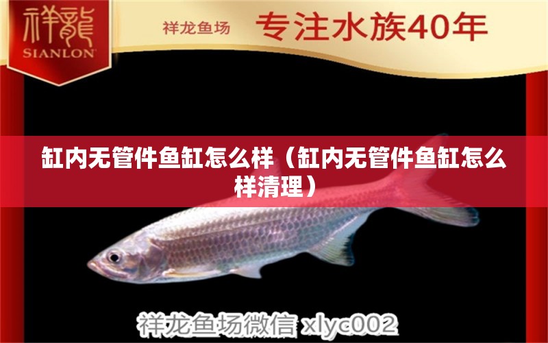 缸內(nèi)無管件魚缸怎么樣（缸內(nèi)無管件魚缸怎么樣清理） 觀賞魚批發(fā)