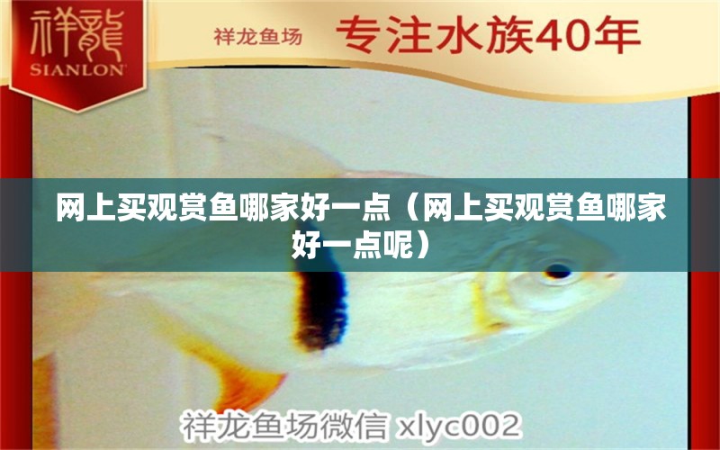 網(wǎng)上買觀賞魚哪家好一點(diǎn)（網(wǎng)上買觀賞魚哪家好一點(diǎn)呢）