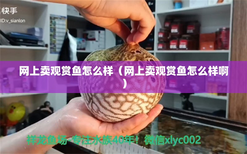 網(wǎng)上賣觀賞魚怎么樣（網(wǎng)上賣觀賞魚怎么樣?。?網(wǎng)上購買觀賞魚