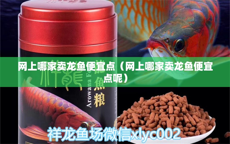 網(wǎng)上哪家賣龍魚便宜點（網(wǎng)上哪家賣龍魚便宜點呢）