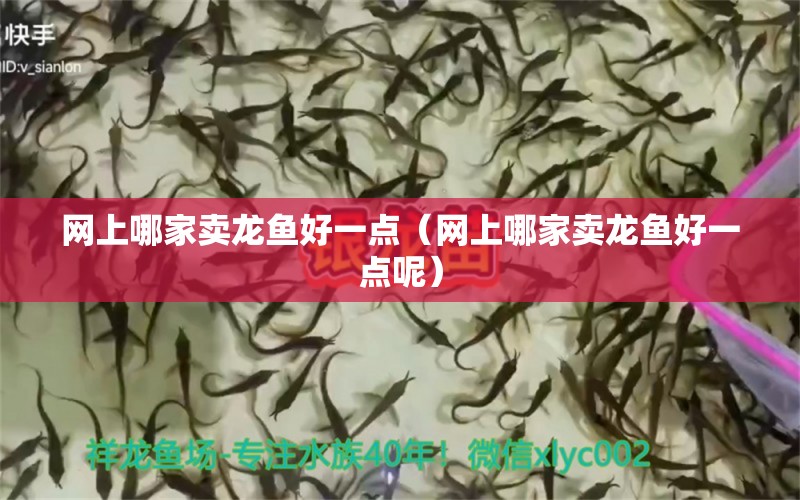 網(wǎng)上哪家賣龍魚好一點(diǎn)（網(wǎng)上哪家賣龍魚好一點(diǎn)呢）