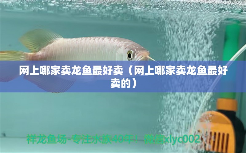 網(wǎng)上哪家賣龍魚最好賣（網(wǎng)上哪家賣龍魚最好賣的）