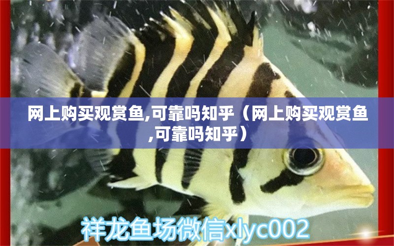 網(wǎng)上購買觀賞魚,可靠嗎知乎（網(wǎng)上購買觀賞魚,可靠嗎知乎） 網(wǎng)上購買觀賞魚