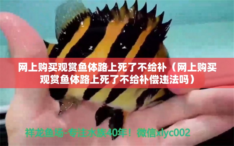 網(wǎng)上購(gòu)買(mǎi)觀賞魚(yú)體路上死了不給補(bǔ)（網(wǎng)上購(gòu)買(mǎi)觀賞魚(yú)體路上死了不給補(bǔ)償違法嗎）