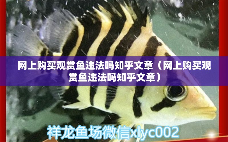 網(wǎng)上購買觀賞魚違法嗎知乎文章（網(wǎng)上購買觀賞魚違法嗎知乎文章） 網(wǎng)上購買觀賞魚