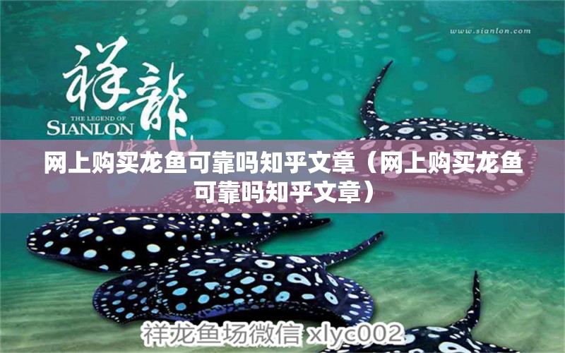 網(wǎng)上購買龍魚可靠嗎知乎文章（網(wǎng)上購買龍魚可靠嗎知乎文章）