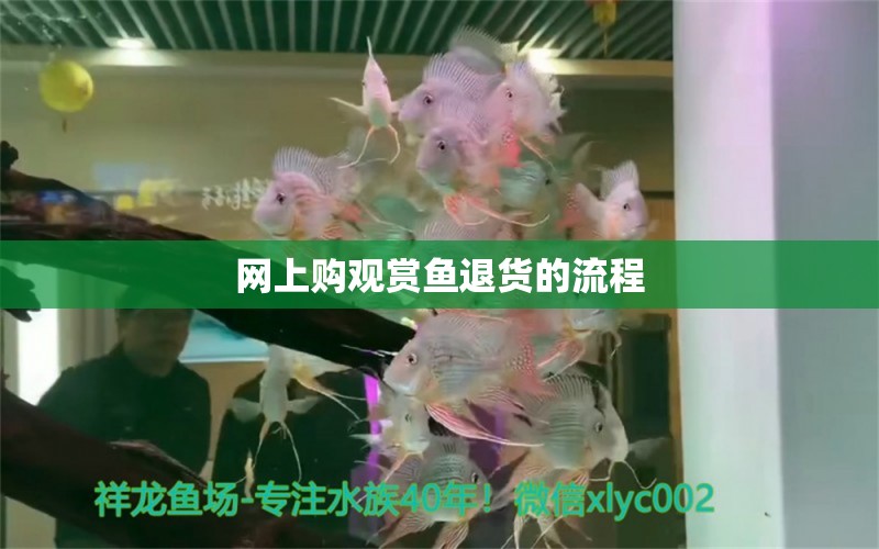 網(wǎng)上購觀賞魚退貨的流程 龍魚芯片掃碼器