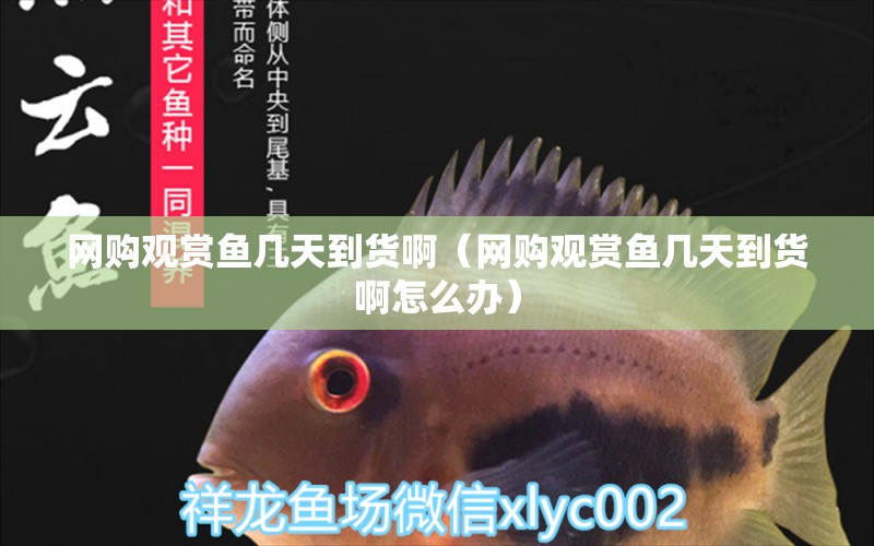 網(wǎng)購(gòu)觀賞魚幾天到貨?。ňW(wǎng)購(gòu)觀賞魚幾天到貨啊怎么辦）