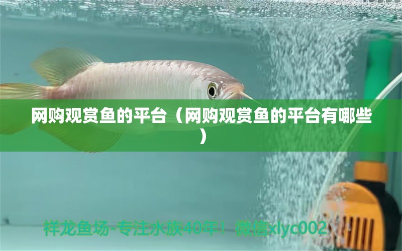 網(wǎng)購(gòu)觀賞魚的平臺(tái)（網(wǎng)購(gòu)觀賞魚的平臺(tái)有哪些）