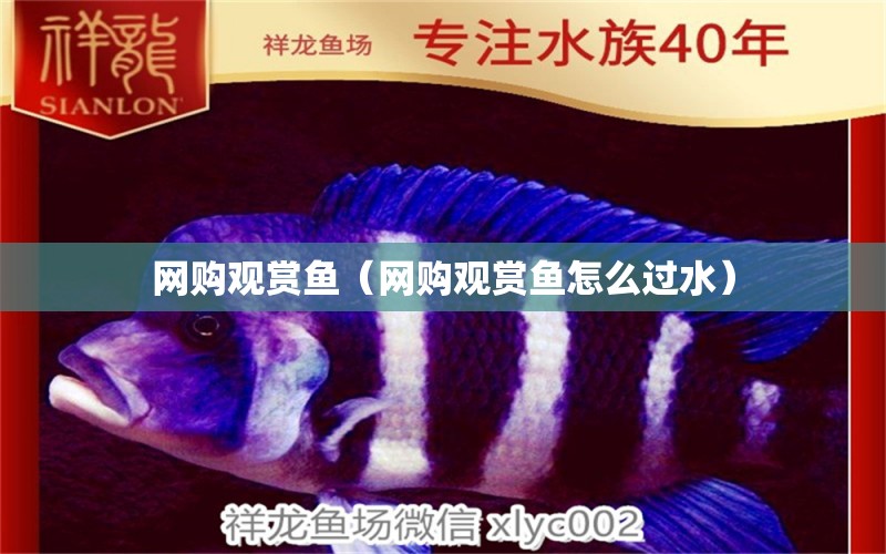 網(wǎng)購(gòu)觀賞魚（網(wǎng)購(gòu)觀賞魚怎么過(guò)水）