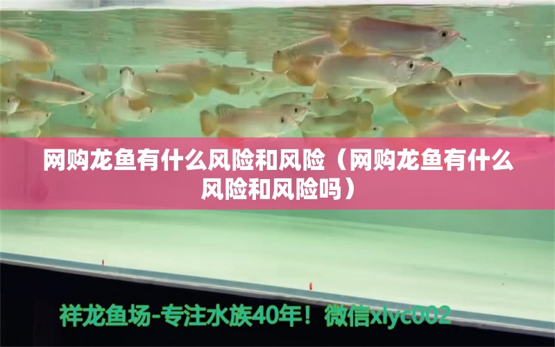 網(wǎng)購龍魚有什么風(fēng)險和風(fēng)險（網(wǎng)購龍魚有什么風(fēng)險和風(fēng)險嗎）