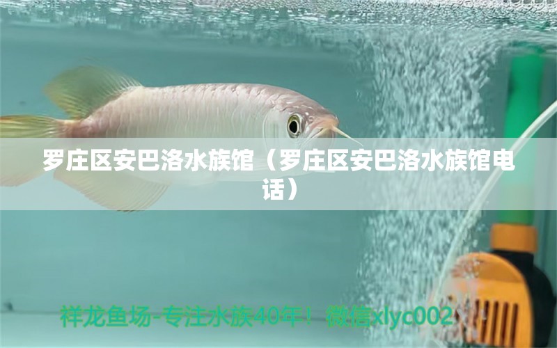 羅莊區(qū)安巴洛水族館（羅莊區(qū)安巴洛水族館電話）