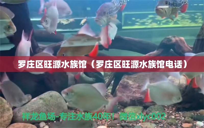 羅莊區(qū)旺源水族館（羅莊區(qū)旺源水族館電話） 全國(guó)水族館企業(yè)名錄