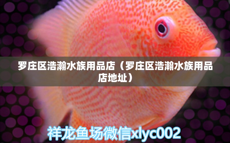 羅莊區(qū)浩瀚水族用品店（羅莊區(qū)浩瀚水族用品店地址）