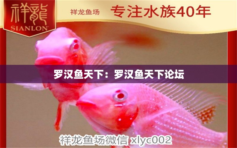 羅漢魚天下：羅漢魚天下論壇 羅漢魚