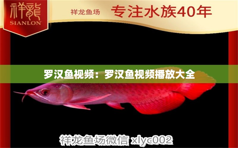 羅漢魚視頻：羅漢魚視頻播放大全