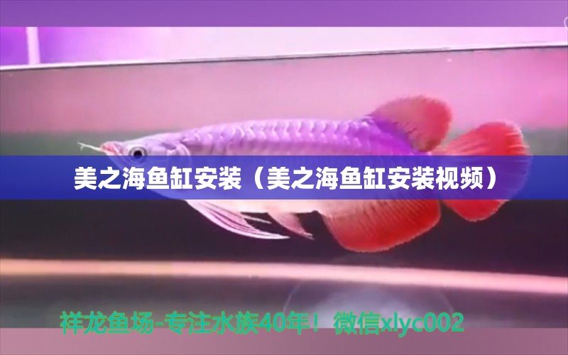 美之海魚(yú)缸安裝（美之海魚(yú)缸安裝視頻） 祥龍水族醫(yī)院